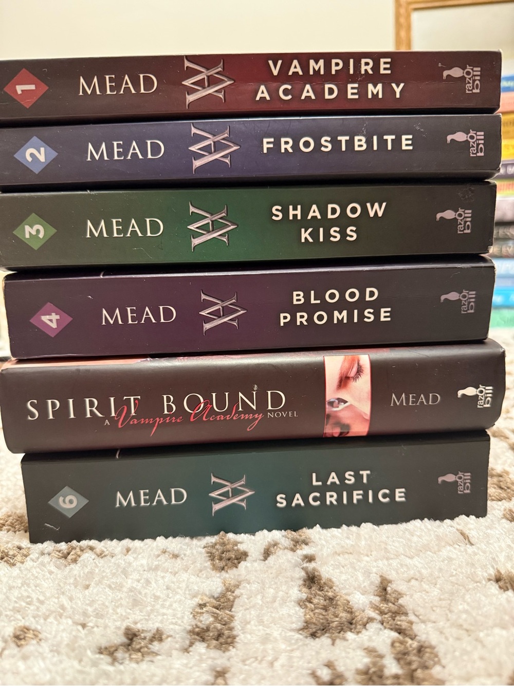 ‘Vampire Academy’ by Richelle Reid Book series